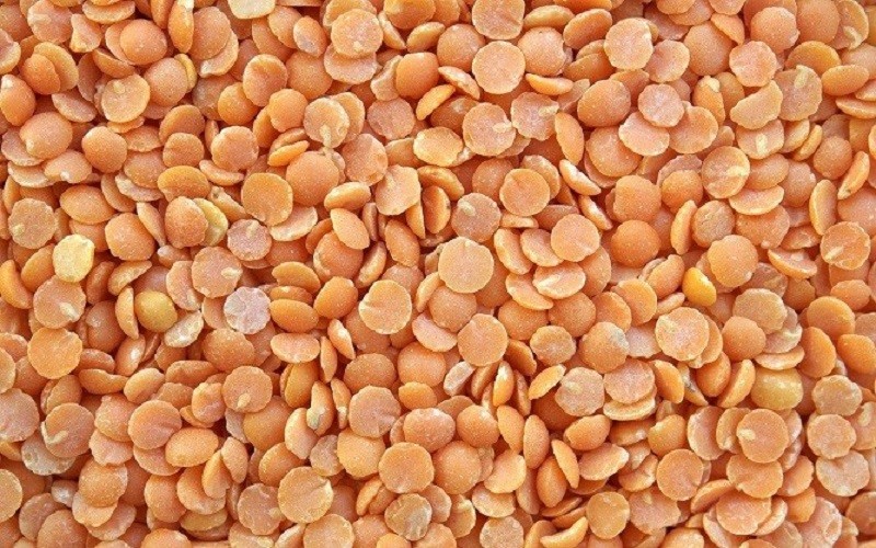 Largest lentil importer slowing down