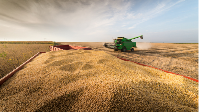 Argentine soybean harvest completed