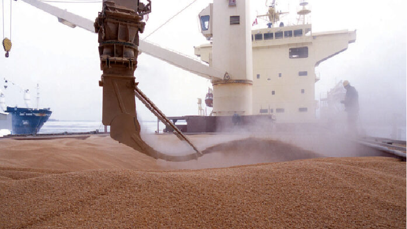 MV Ince Akdeniz & MV Mana – Indian Wheat Export