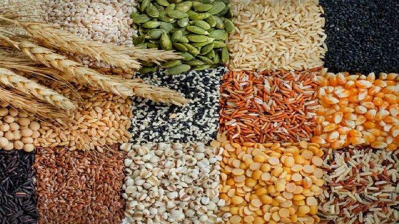 CONAB estimates record total grain production for the MY 2022/23 crops
