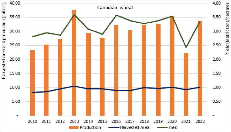 Canadian wheat production is the third largest on record.