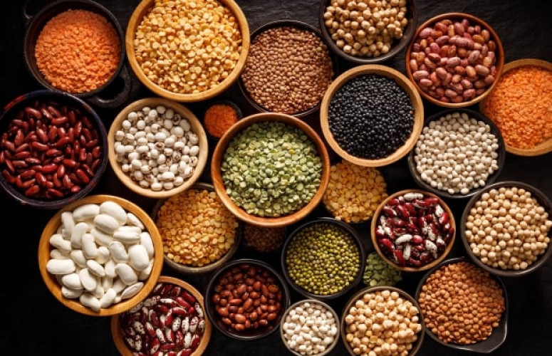 Canadian Pulses Estimate for 2023-24