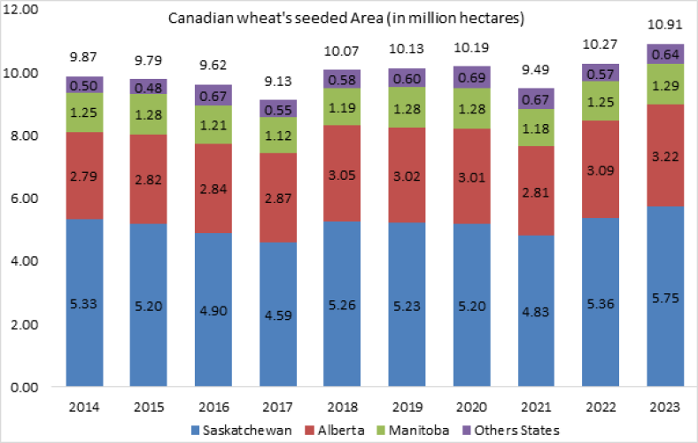 The projected area for Canadian wheat in 2023 is the largest it has been in over two decades