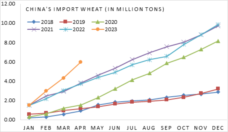 China Wheat Imports Surge Key Insights and Projections for 2023/24 Season