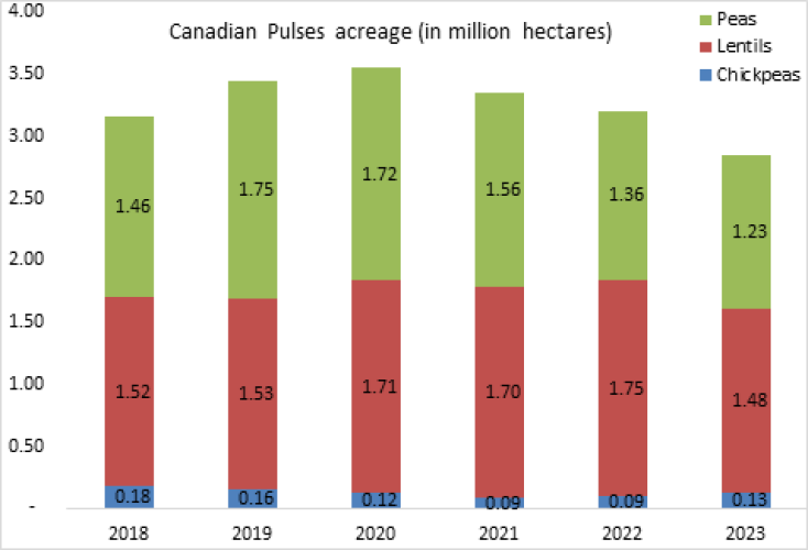 Canadian lentil and peas acreage is less but Chickpeas acreage increased for the crops 2023-24
