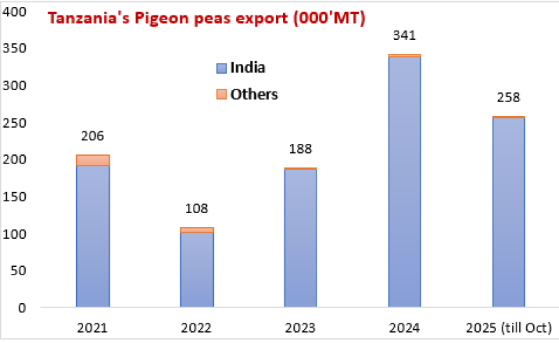 Tanzania’s Pigeon Pea Exports Dip in 2025, Still Second Highest on Record