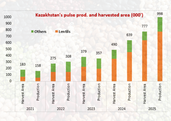 Record Pulse Output in Kazakhstan: Lentil Production Soars 70% in MY 2025-26