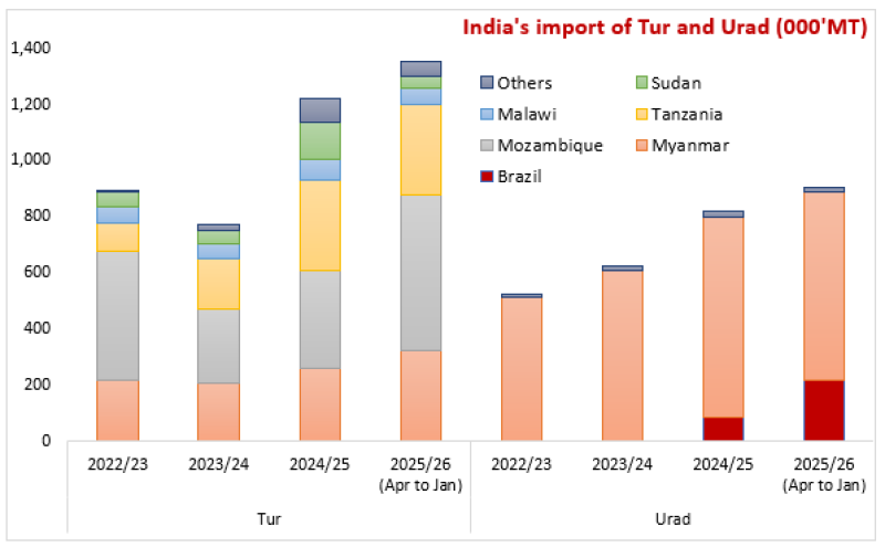 Official Customs Data Show India’s Highest-Ever Tur and Urad Imports Through January 2026