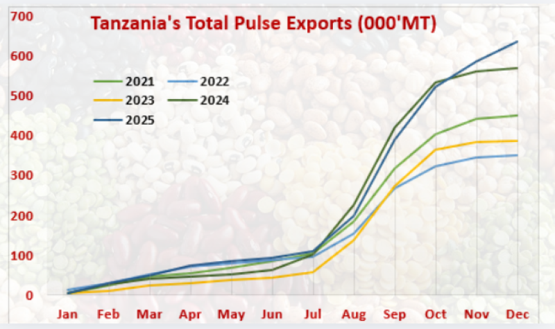 Record-Breaking Pulse Exports in 2025 Boost Tanzania’s Agricultural Trade