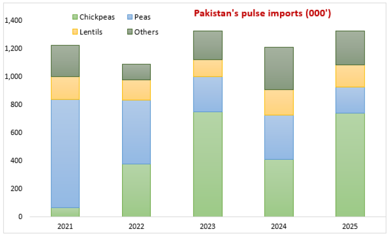 Pakistan’s Pulse Imports Hit Record High in 2025 Amid Growing Demand-Supply Gap