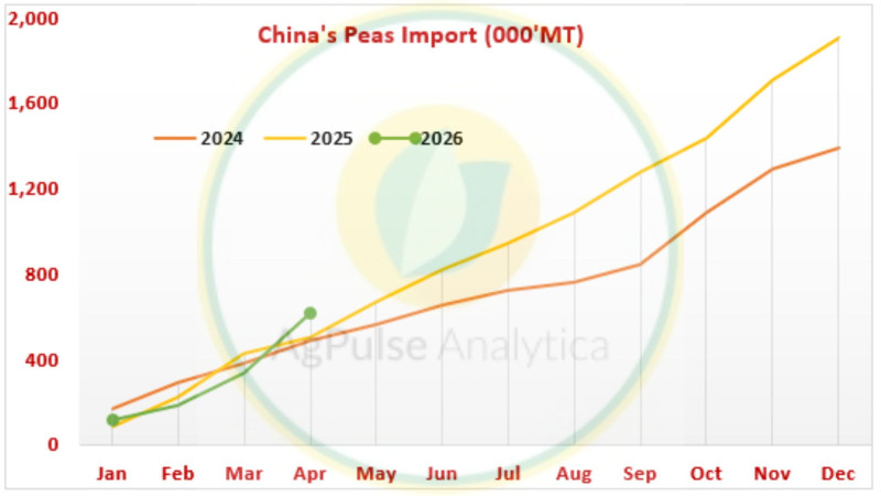 China’s Peas Imports Hit Two-Year High in April 2026 as Canadian Pea Shipments Surge