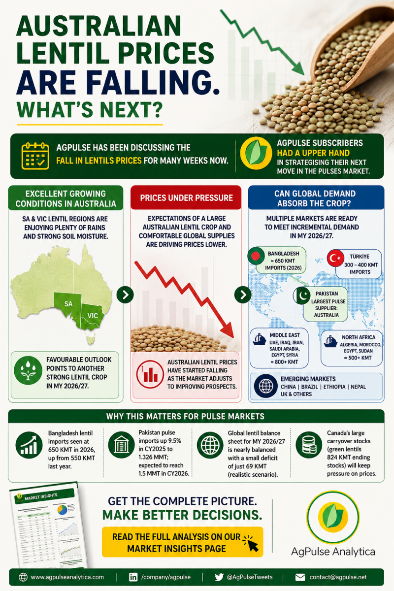 Australian Lentil Prices Are Falling. What Next?
