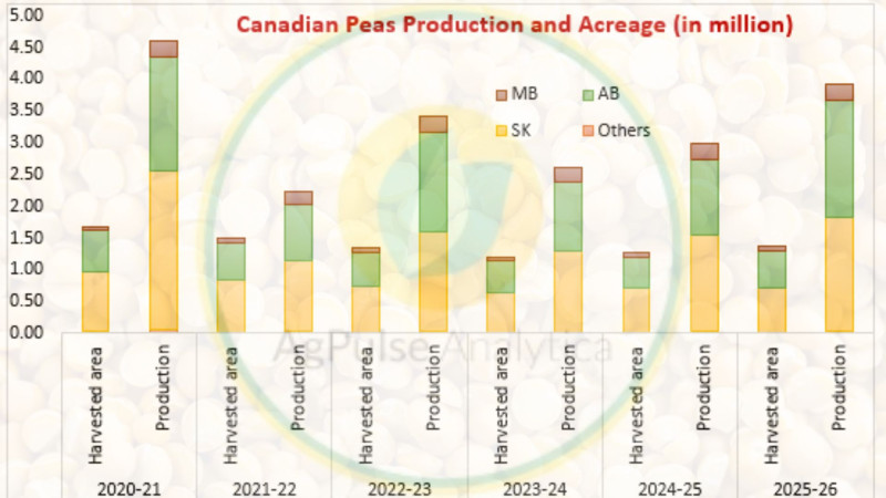 From Drought to Recovery: Canadian Dry Pea Production Trends MY 2021-22 to MY 2025-26