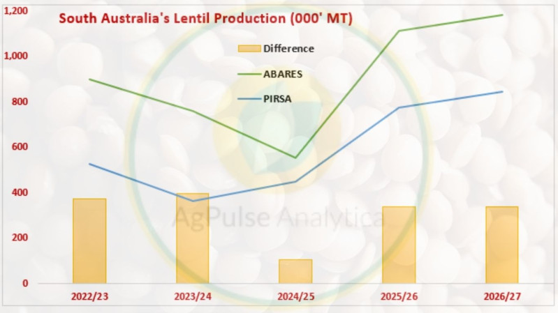 South Australia Lentil Production Forecasts Diverge Sharply Between PIRSA and ABARES
