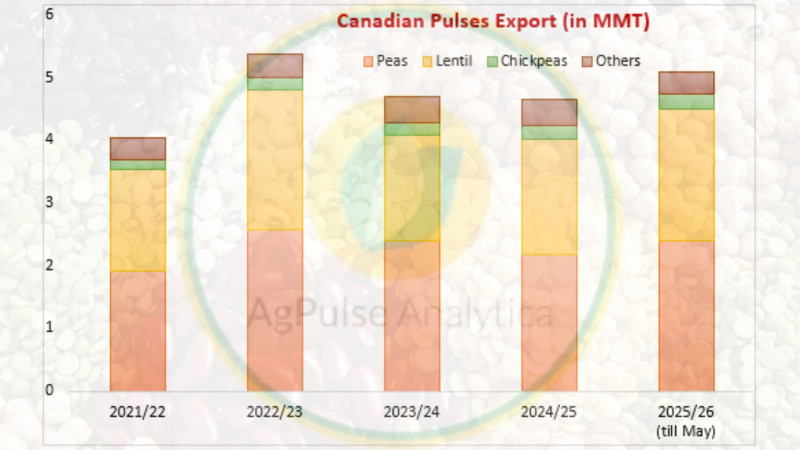 Canada Pulse Exports Rebound Strongly in 2025/26, Surpassing Previous Marketing Years