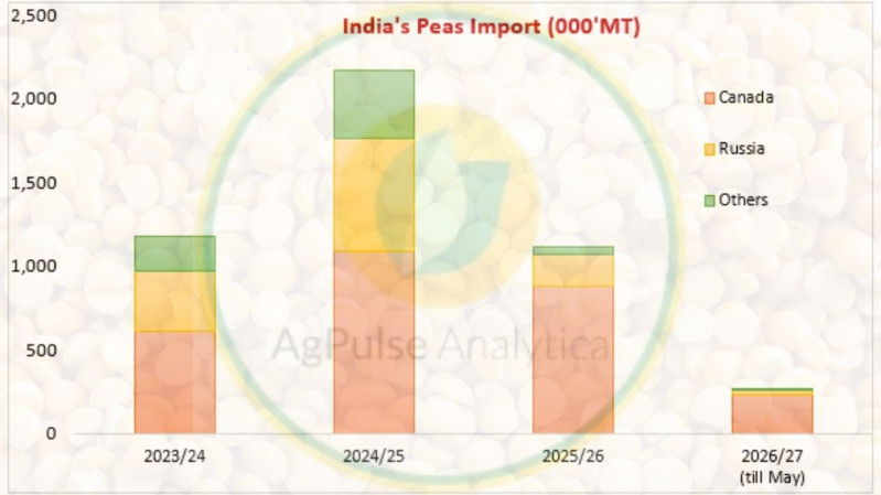 Part 4: India Dry Pea Import Market - Policy Shifts, Trade and the Canada-Russia Competition