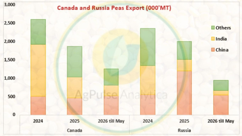 Last Part: Global Dry Pea Trade - Canada and Russia Compete for Export Dominance