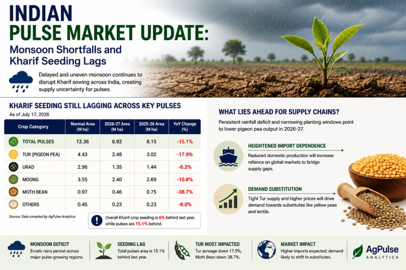 Indian Pulse Market Update: Monsoon Shortfalls and Kharif Seeding Lags