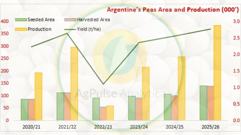 Argentine Pea Production Reaches All-Time High in MY 2025/26