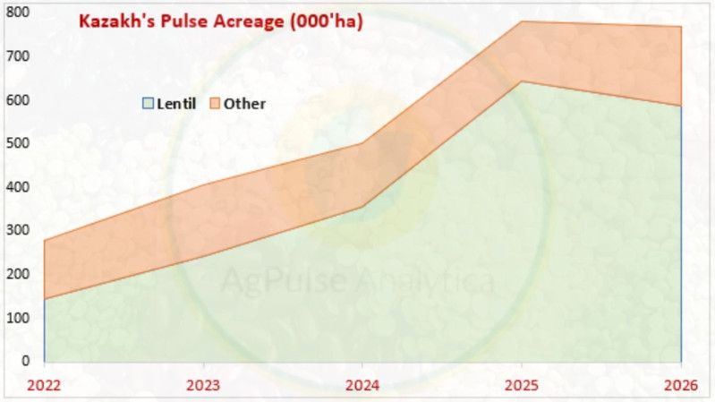 Kazakhstan Maintains Pulse Acreage in 2026, but Lentil Plantings Fall