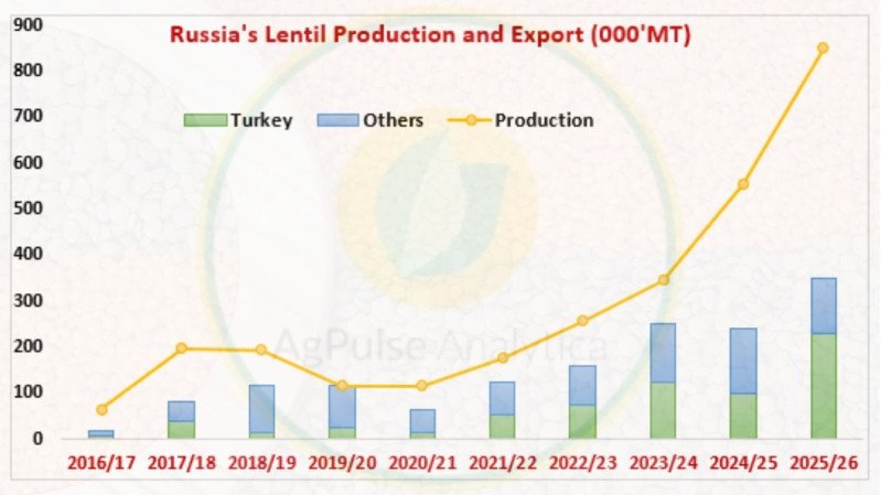 Part 3: Russian Lentil Production and Exports Expanded in 2025/26