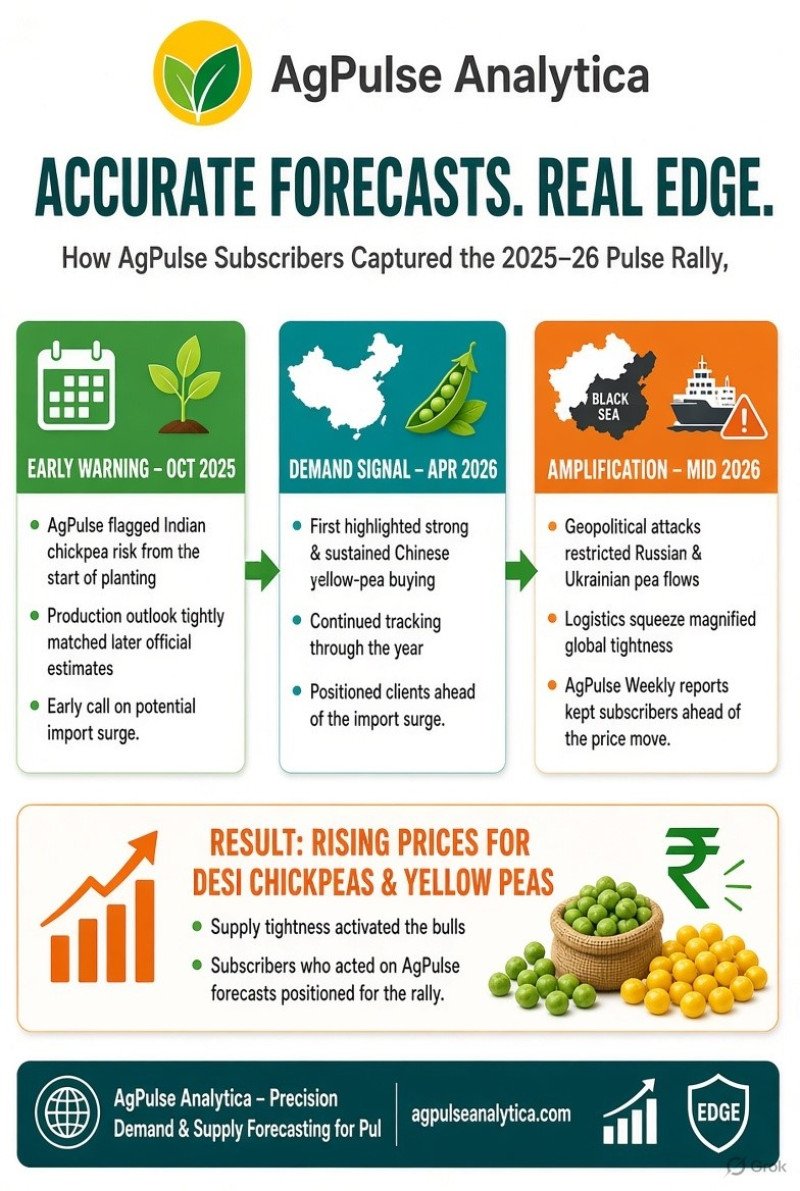 The Market Is Catching Up: AgPulse Chickpea Forecast Is Playing Out