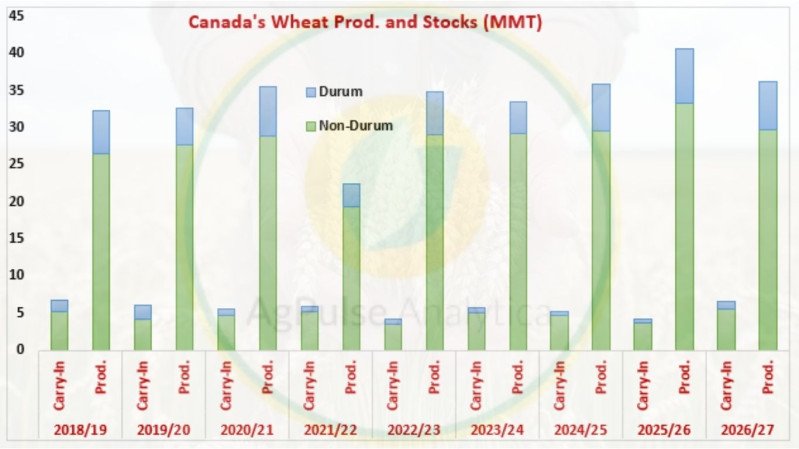 Canada Wheat Production Set to Decline in 2026/27, While Carryover Stocks Support Supplies