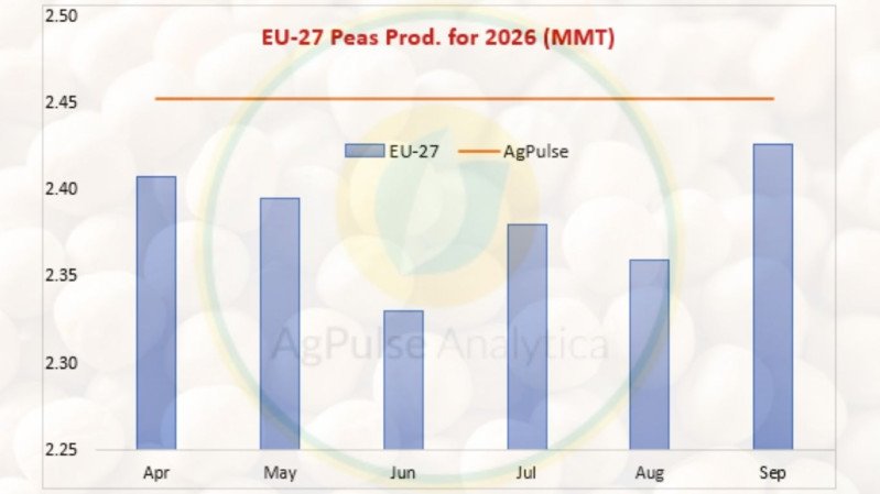 European Peas Production: AgPulse Forecast Proved Ahead of the Market