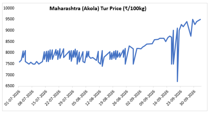 From Forecast to Reality: AgPulse Analytica Tur Outlook Proven Right as Mandi Prices Surge