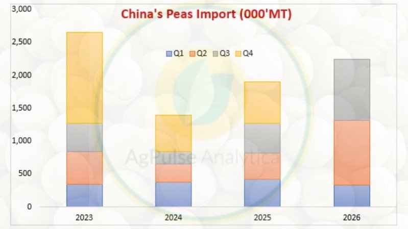 China Pea Imports Rise as Russia Strengthens Lead and Canada Rebounds