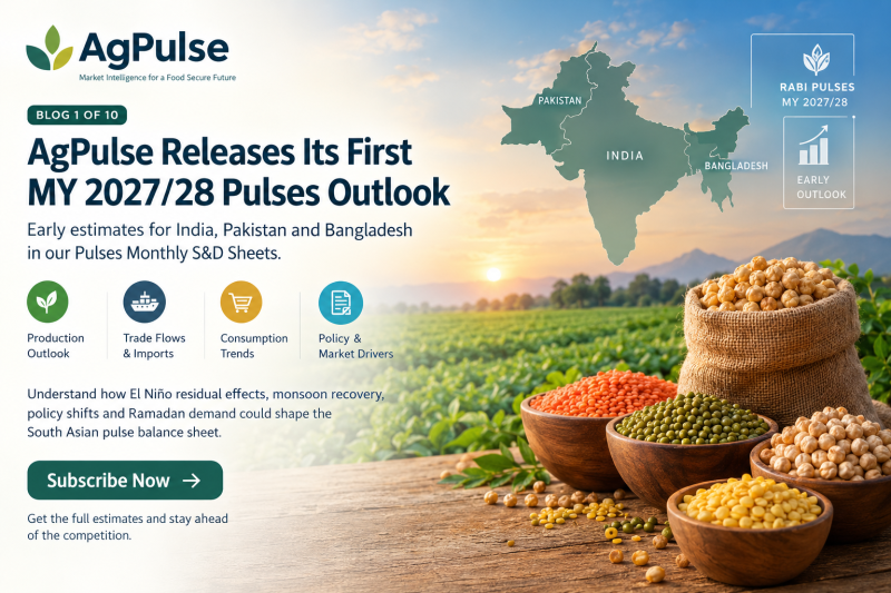 Part 1: AgPulse Releases Its First MY 2027/28 Pulses Outlook - Rabi crop